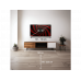 TV OLED 48