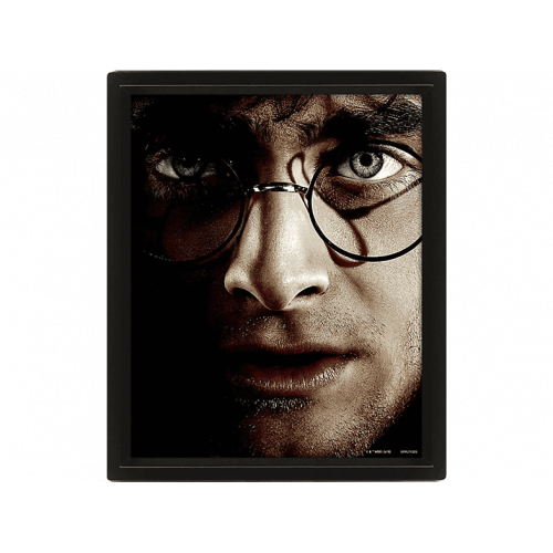 Póster 3D - Sherwood Harry Potter, Papel brillo