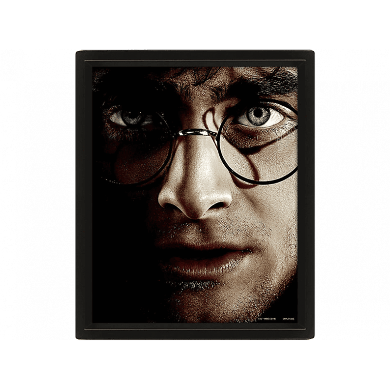 Póster 3D - Sherwood Harry Potter, Papel brillo